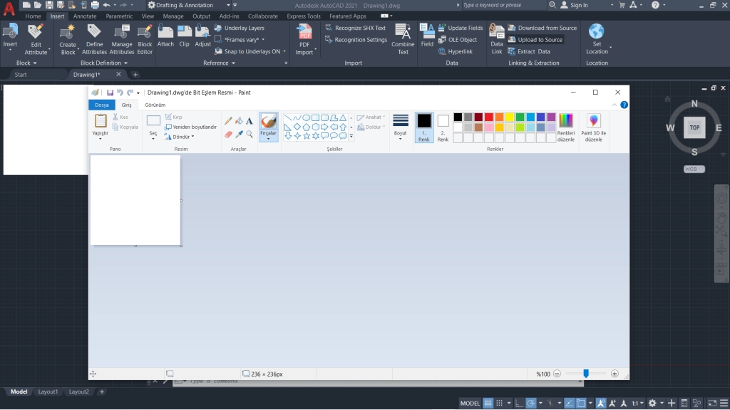 AutoCAD Blank Paint Page
