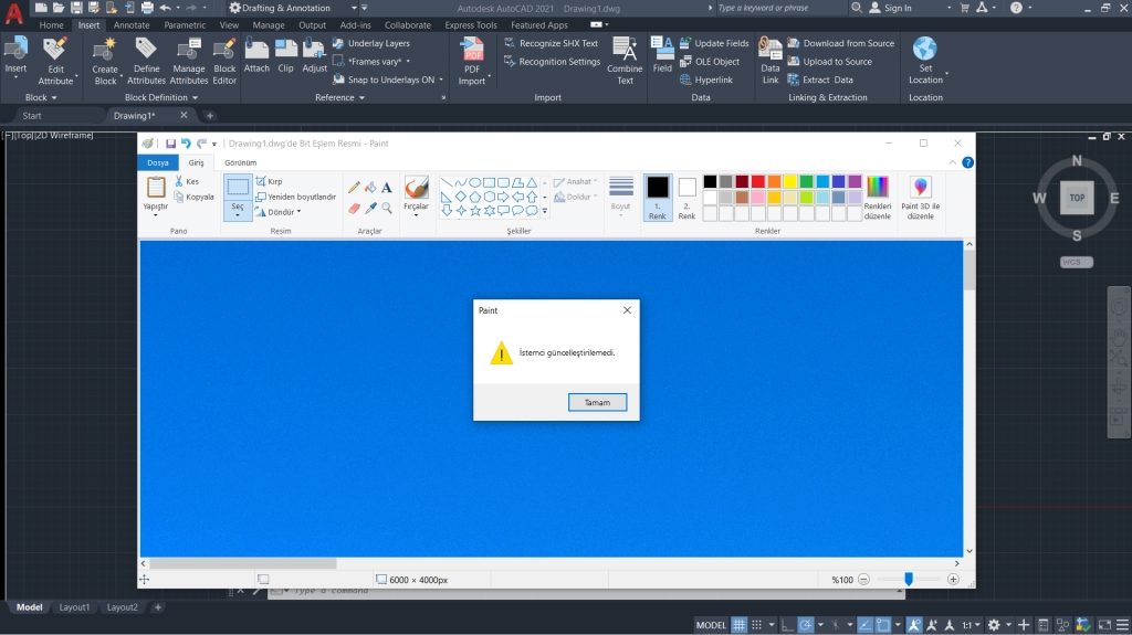 AutoCAD Error