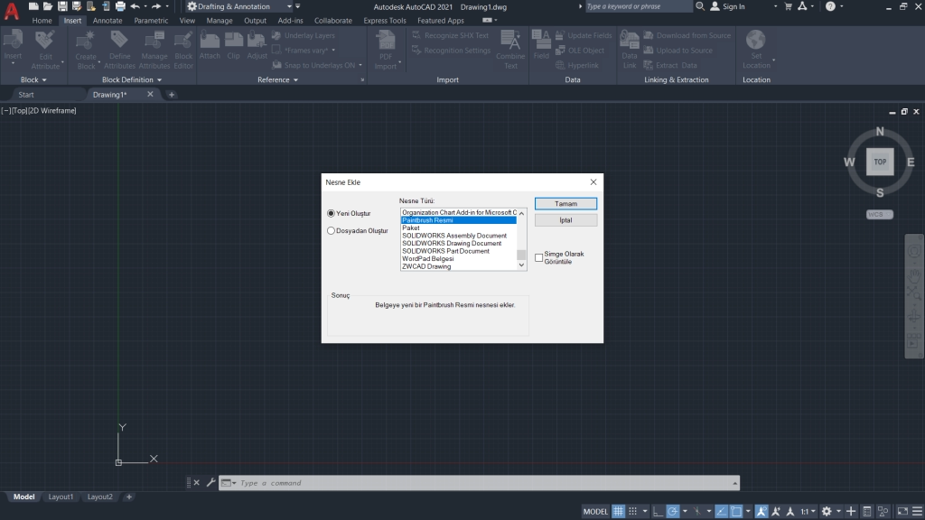 AutoCAD Paintbrush