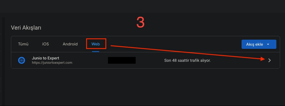 GA4 Veri Akışları Web