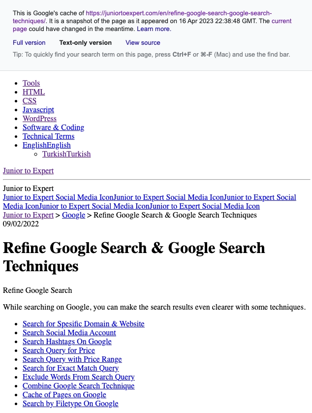 Google Cache Text Only