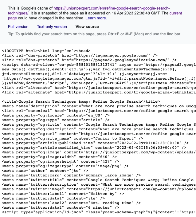 Google Cache View Source