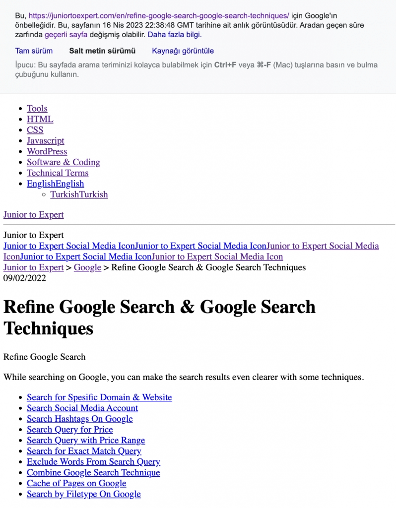 Google Önbelleği Salt Metin Sürümü