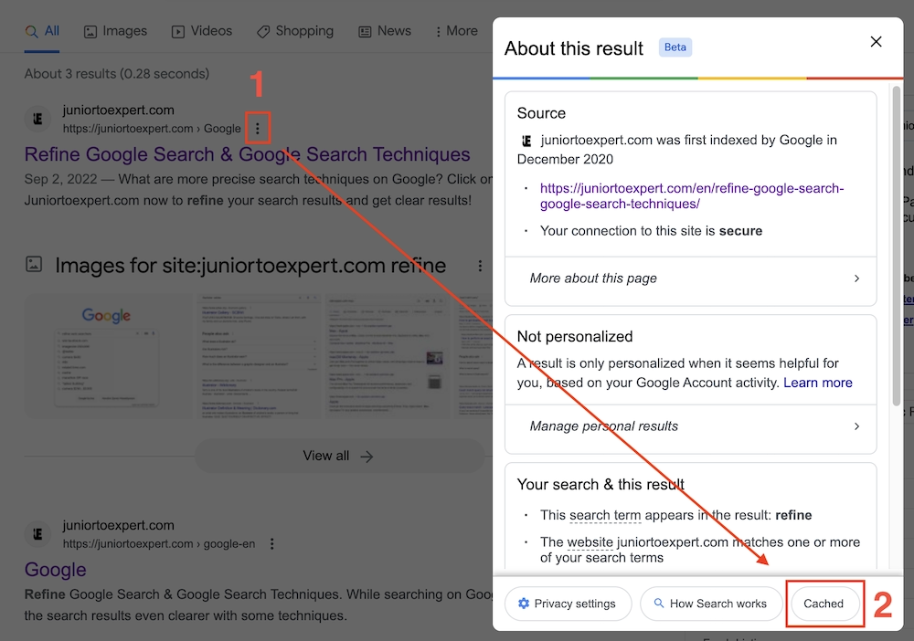 Google SERP Cached