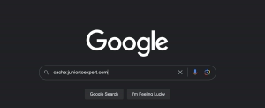 Web Sayfasının Google Önbelleğindeki Görüntüsü