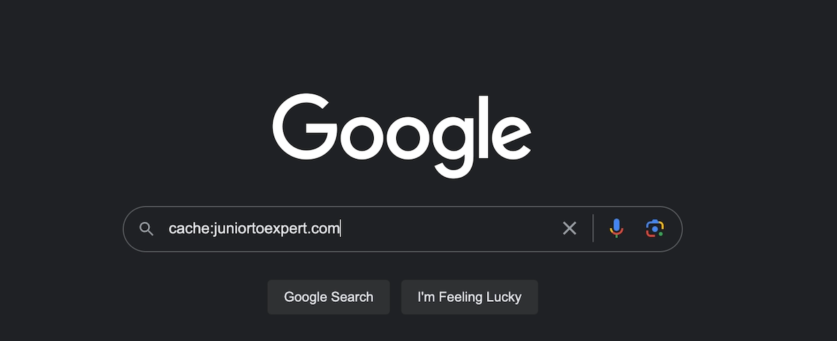 Google Web Cache