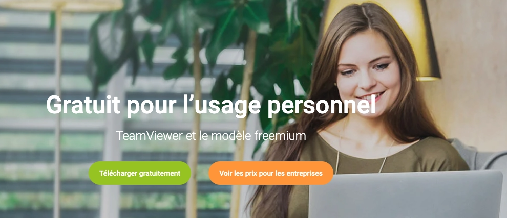 Gratuit pour l’usage personnel Team Viewer