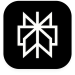 Perplexity Icon