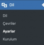 Polylang Ayarlar