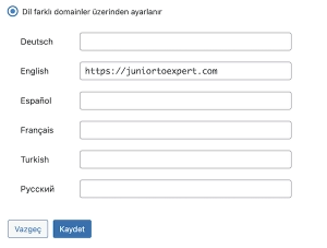 Polylang Different Domains