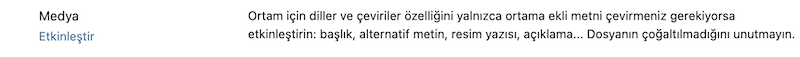 Polylang Medya Çevirileri