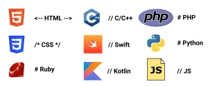 Comments in Programming Languages