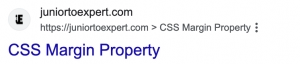 SERP View Without Breadcrumb 
