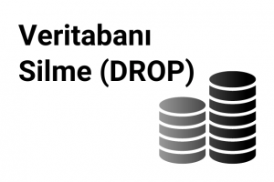 SQL Veritabanı Silme