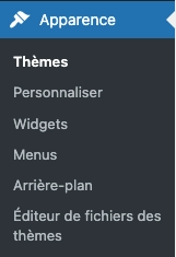 Wordpress Appearance Themes