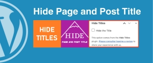 Remove Page Title On WordPress