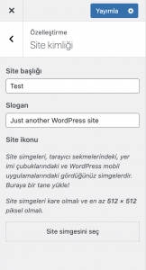 Wordpress Panel Özelleştir