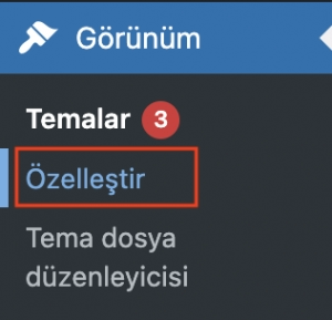 Wordpress Panel Özelleştir