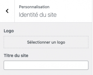 Wordpress Personnalisation Logo